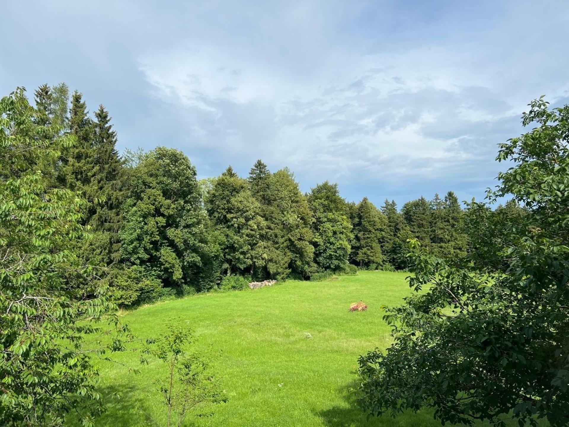 Fewo Staudinger Irschenberg Esterno foto